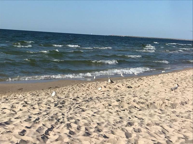 Apartament Idylla Polanki Kołobrzeg